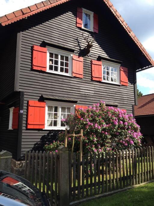 Villa Herzog - Ferienhaus Fuer 6 Personen In Braunlage, Harz Buitenkant foto